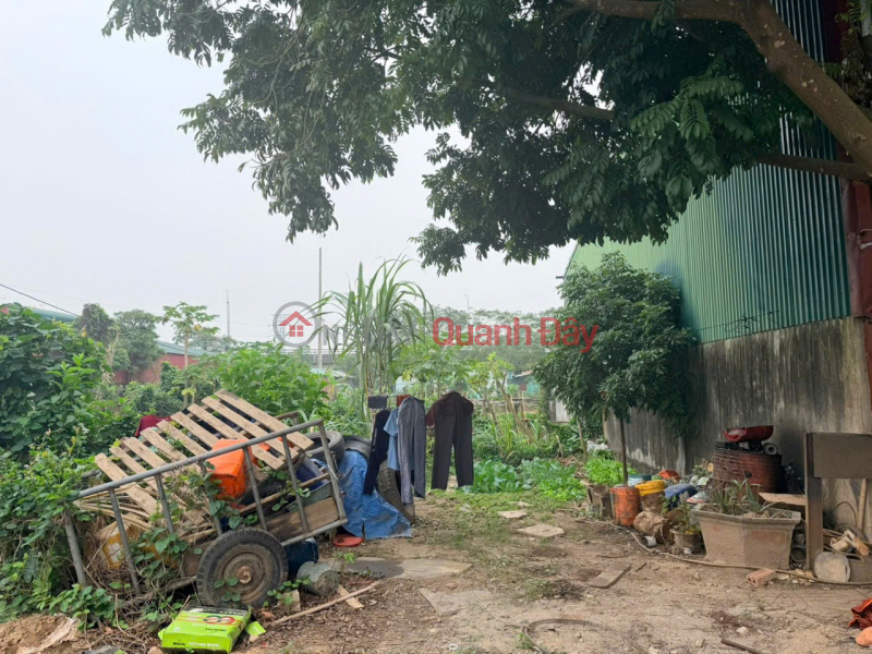 HOT HOT – OWNER NEEDS TO SELL A PRIME PLOT OF LAND IN KHANH HOA PROVINCE, YEN KHANH DISTRICT, NINH BINH PROVINCE Sales Listings
