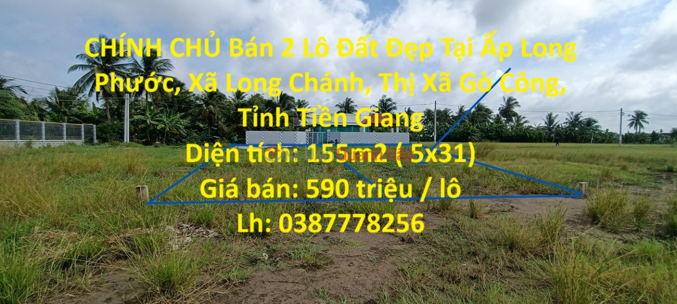 FOR SALE 2 Beautiful Land Lots In Long Chanh Commune - Go Cong Town - Tien Giang Sales Listings