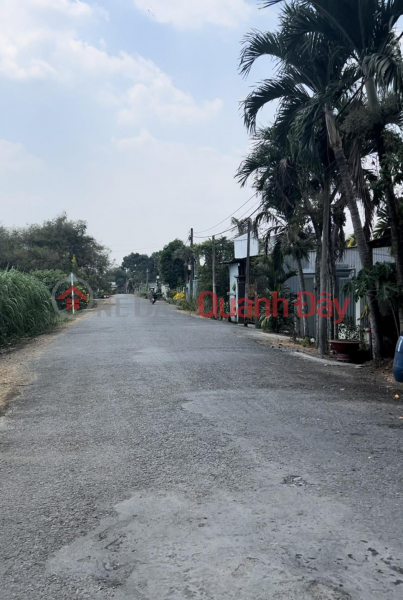 Owner Needs to Sell Land Lot in Nice Location at No. 40, Trinh Thi Ghat Street, Tan An Hoi Commune, Cu Chi Sales Listings