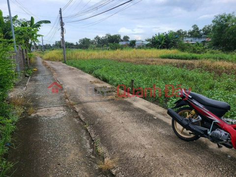 SUPER BEAUTIFUL LAND - GOOD PRICE - URGENTLY SELLING A PLOT OF POTENTIAL LAND IN LONG KHANH, PHUOC HAU COMMUNE, CAN GIOC LONG AN _0