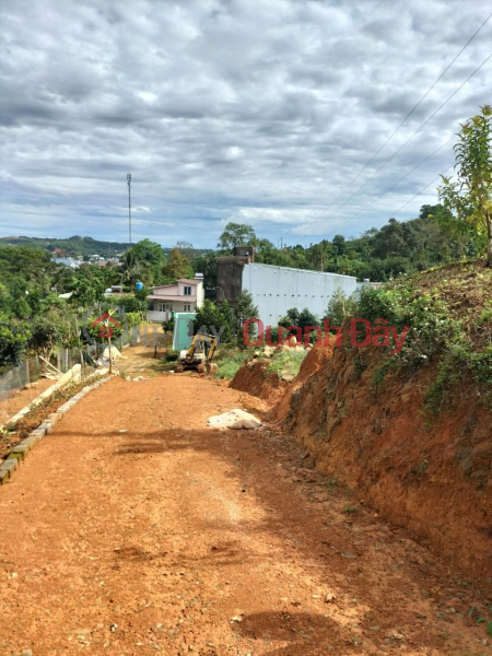 Property Search Vietnam | OneDay | Residential Sales Listings | BEAUTIFUL LAND - GOOD PRICE - For quick sale LOT OF LAND with 2 frontages in Dai Lao Commune, Bao Loc City, Lam Dong Province