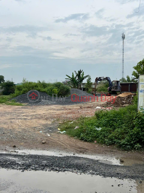 Need to quickly rent a beautiful plot of land in Binh Chanh district, HCMC _0