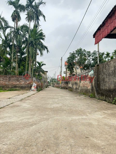 Siêu phẩm đất đẹp Xóm 2, Chương Dương - Giá tốt - Vị trí đẹp, đường rộng, tiềm năng tăng giá cao _0