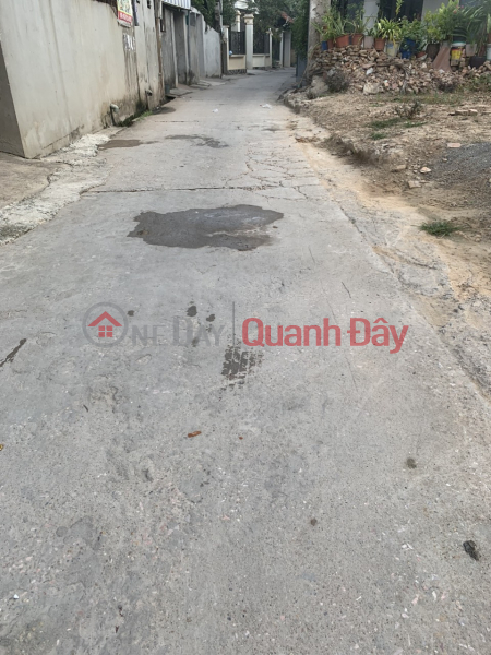 Property Search Vietnam | OneDay | Residential Sales Listings 177m - full residential area - frontage nearly 20m - Investment price - Only 500m from National Highway 6, clear road - Clear road, wide for cars