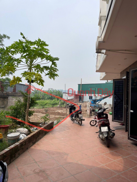 Property Search Vietnam | OneDay | Residential Sales Listings Selling 40m lot of land in Phuong Dong, Phung Chau, Chuong My, Hanoi