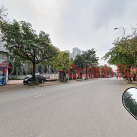 Who is looking for 60m2 of land in Trau Quy, Gia Lam, with large motorable roads? _0