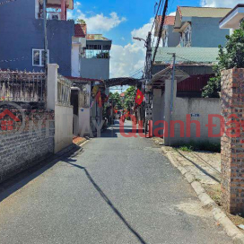 House for sale in Yen Vien town, Ha Huy Tap lane near school and market 98m frontage: 7.6m 6 billion 9 _0