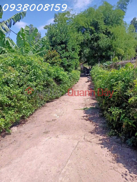 Residential Land Plot For Sale In Dong Lam Village, Dai Quang, Dai Loc, Quang Nam | Vietnam, Sales đ 350 Million