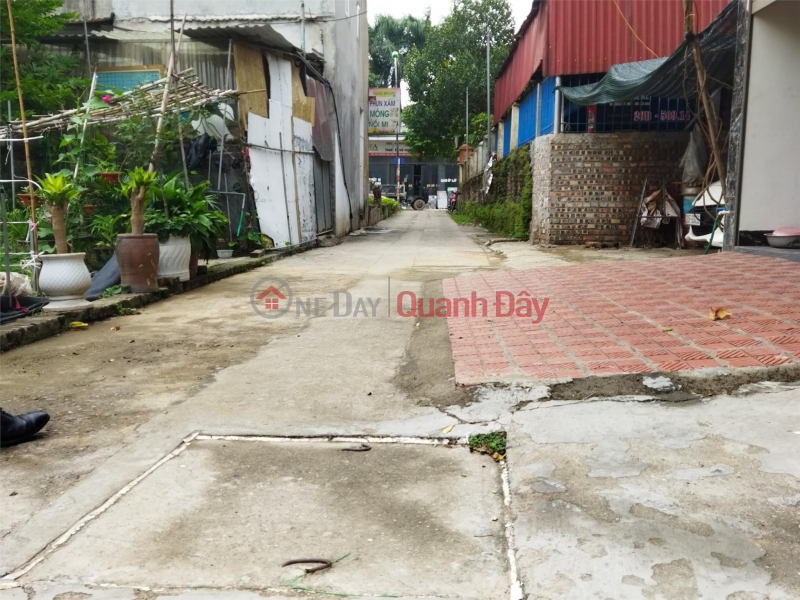 Property Search Vietnam | OneDay | Residential | Sales Listings For Sale Land Lot 66.3m Dong Van Noi Hamlet Dong Anh Hanoi. Suitable for both investment and living