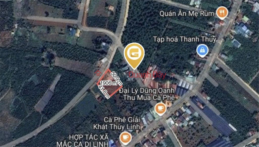 BEAUTIFUL LAND - GOOD PRICE OWNER SELLS BEAUTIFUL LAND IN PRIME LOCATION IN DI LINH - LAM DONG | Vietnam, Sales đ 4.3 Billion