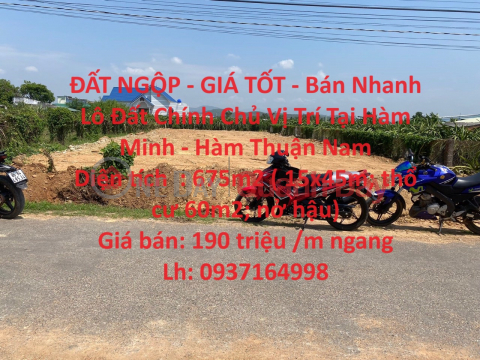 ĐẤT NGỘP - GIÁ TỐT - Bán Nhanh Lô Đất Chính Chủ Vị Trí Tại Hàm Minh - Hàm Thuận Nam _0