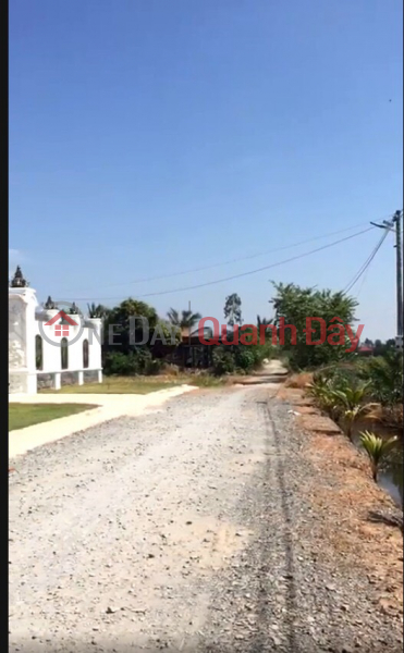 OWNER NEEDS TO SELL LAND LOT QUICKLY In Duc Hue, Long An Sales Listings