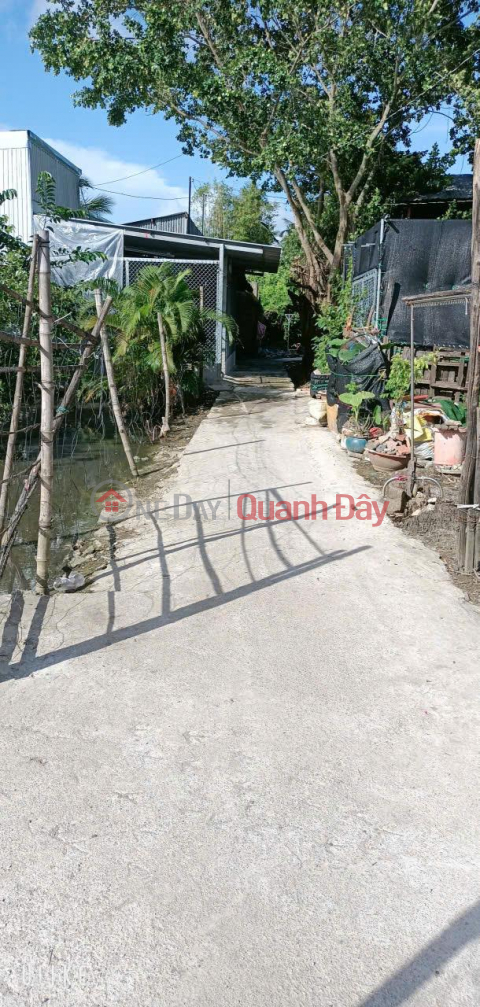 OWNER Sells Land at Frontage of Nguyen Thien Thuat Street - Rach Soi - Rach Gia - Kien Giang _0