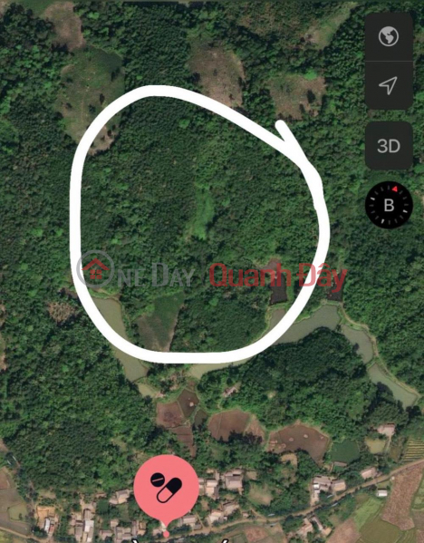 Land Owner - NEED FOR QUICK SALE LOT OF LAND WITH FOREST In Phuc Luong Commune, Dai Tu District, Thai Nguyen Sales Listings