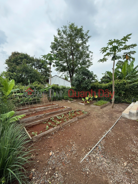 Property Search Vietnam | OneDay | | Niêm yết bán, GREENERY HOUSE BÀ RỊA – CƠ HỘI SỞ HỮU NHÀ VƯỜN NGHỈ DƯỠNG CHỈ TỪ 3 TỶ ĐỒNG/LÔ