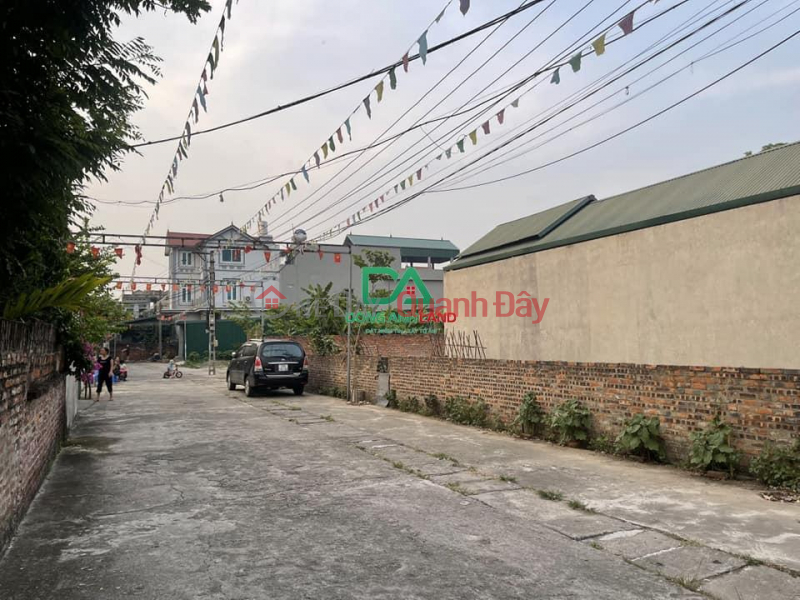 Property Search Vietnam | OneDay | Residential Sales Listings Land for sale at auction in Van Noi commune, Dong Anh district, Tho Bao village 115m, price 3X