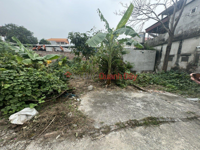 Property Search Vietnam | OneDay | Nhà ở Niêm yết bán, Em có mảnh đất nhỏ xinh tại Xuân Nộn Đông Anh Hà Nội, đường rộng ô tô đỗ cửa. LH 0376692001