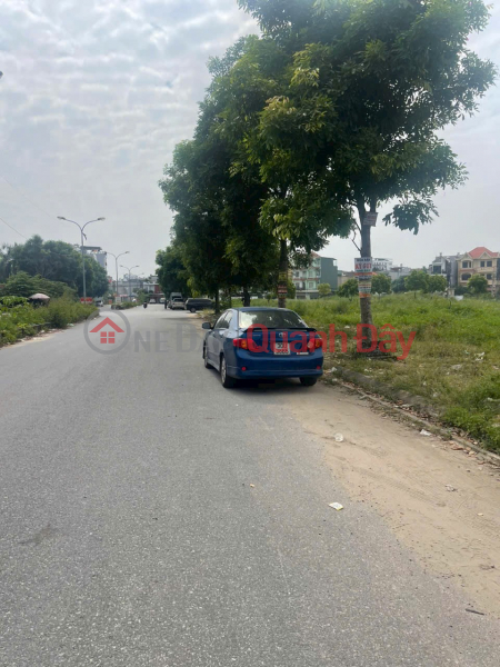 The owner needs to sell a plot of land with 30M road surface to resettle a 13-root banyan tree 60M Hai An Sales Listings