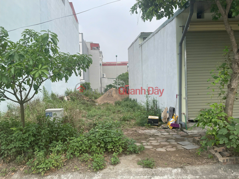 Property Search Vietnam | OneDay | Residential, Sales Listings RESETTLEMENT LAND FOR SALE IN TRAU QUY – GIA LAM – HANOI