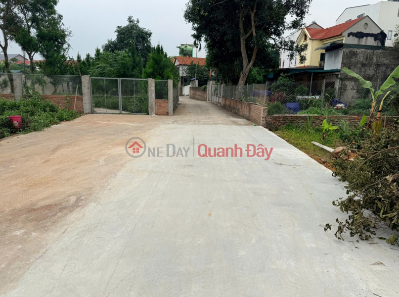 Dung Land is selling beautiful land plots in Thang Huu, Kim Anh, Hanoi - Many options starting from just over 2 billion VND. Vietnam Sales, đ 2.4 Billion