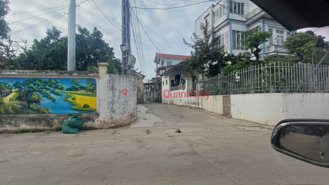 Property Search Vietnam | OneDay | Nhà ở Niêm yết bán, Cực hiếm 60m đất Tráng Việt, Mê Linh. Lô góc, 2 mặt tiền. Gần ngay chân cầu Thượng Cát