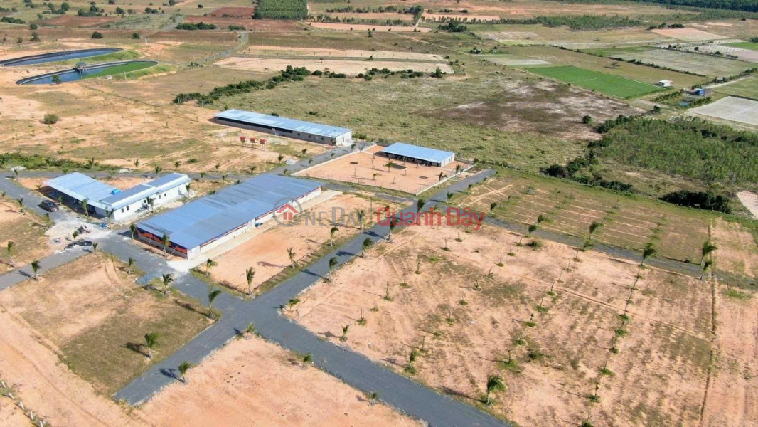 Property Search Vietnam | OneDay | | Sales Listings, 7 sao 8 land next to the agricultural and tourist area, pay 300 million in advance and have the book immediately