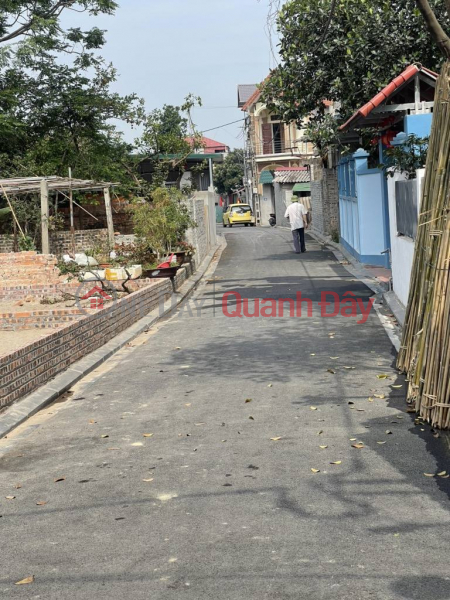 SIÊU PHẨM CÁN KHÊ - NGUYÊN KHÊ - ĐÔNG ANH - LÔ GÓC - Ô TÔ TRÁNH - GIÁ ĐẦU TƯ - GIA LỘC CHO KHÁCH HỮU DUYÊN., Việt Nam Bán đ 3,6 tỷ
