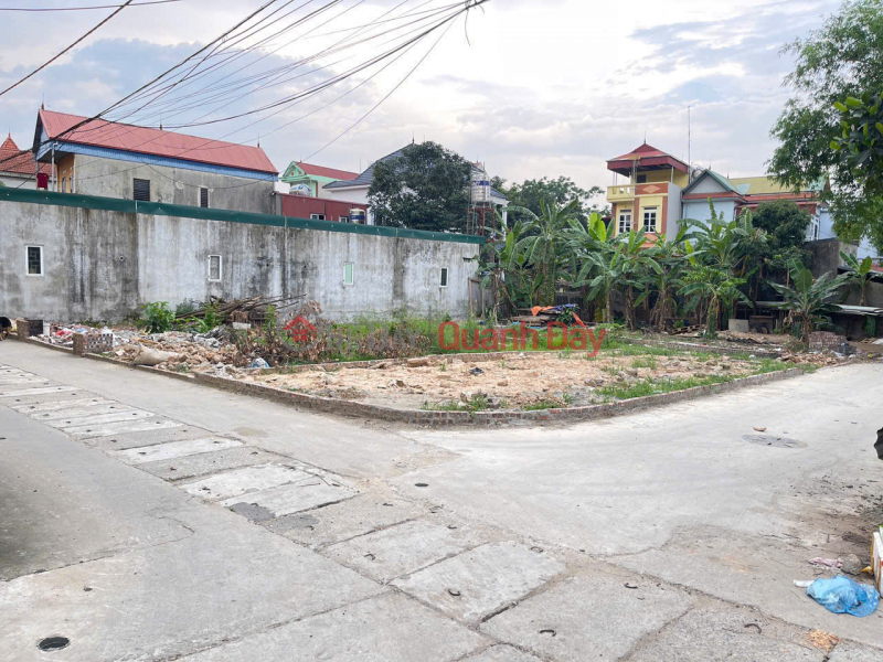 Land for sale in Gia Tan village, Quang Minh, Me Linh, Hanoi. Corner lot, frontage for business. Area 54m2, price 3.7 billion., Vietnam Sales | đ 3.7 Billion
