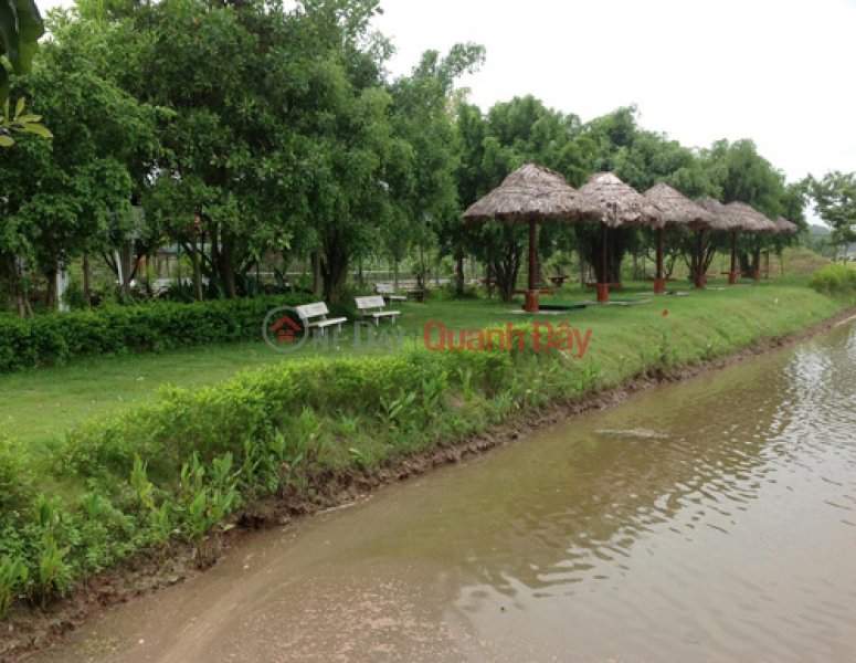 Property Search Vietnam | OneDay | Residential, Sales Listings | Phu Xuyen resort farm for sale - Thuong Tin, Hanoi