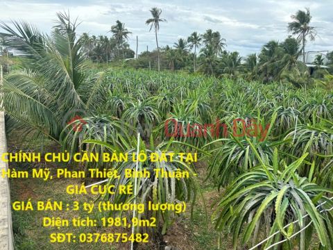 CHÍNH CHỦ CẦN BÁN LÔ ĐẤT TẠI Hàm Mỹ, Phan Thiết, Bình Thuận - GIÁ CỰC RẺ _0