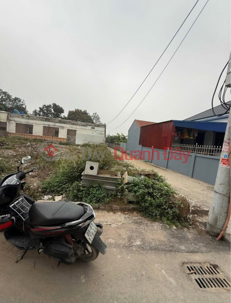 ĐẤT ĐẸP – GIÁ TỐT – CHÍNH CHỦ CẦN BÁN NHANH Tại Hùng An - Kim Động - Hưng Yên | Việt Nam | Bán đ 1,64 tỷ