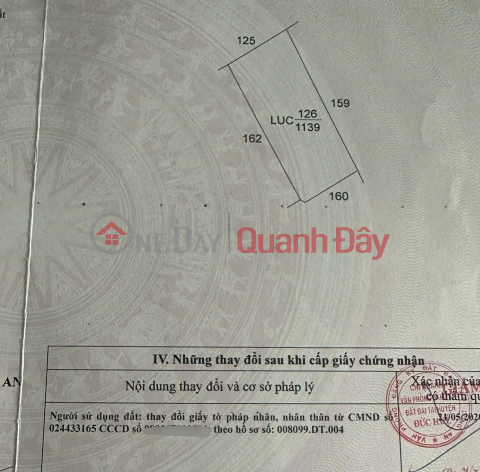 GREAT INVESTMENT OPPORTUNITY - Owner urgently selling a rice paddy plot in Binh Thanh Commune, Duc Hue District, Long An Province. _0