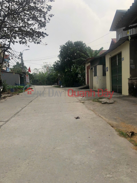 Property Search Vietnam | OneDay | Residential, Sales Listings | Hot land in Hoang Dieu - Chuong My - Hanoi. Area of 134m2 of inter-commune dike road surface.