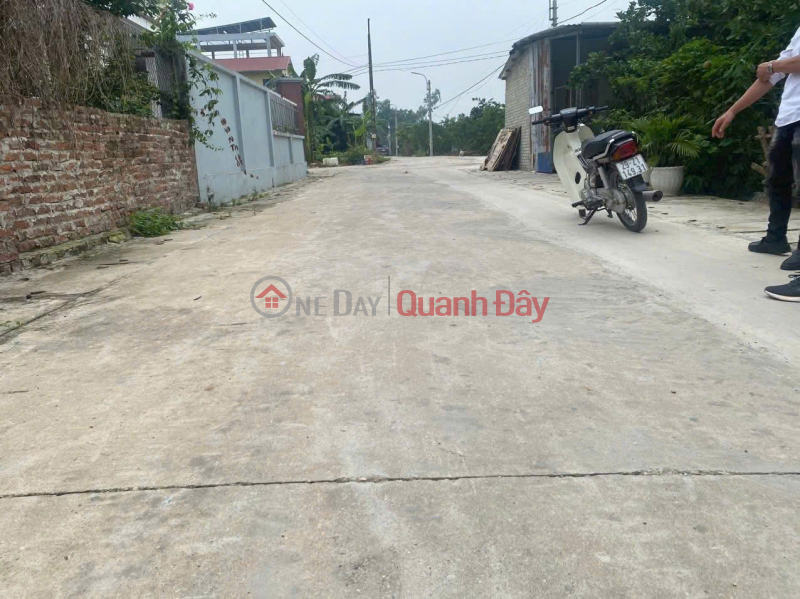 Property Search Vietnam | OneDay | Residential | Sales Listings | Need money to sell 62.1m2 residential land plot in Quang Minh, Me Linh, Hanoi