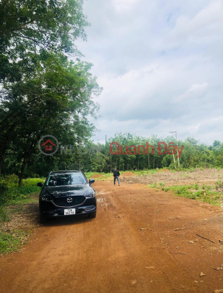 Beautiful land - good price, own a plot of land in a prime location in Tan Phu - Thuan Phu - Dong Phu - Binh Phuoc Vietnam Sales | đ 1.1 Billion