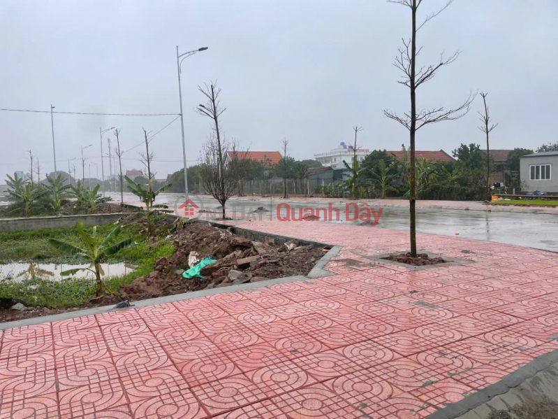 Owner Needs to Sell a Lot of Land in a Beautiful Location in Thuong Kiem Commune, Kim Son District, Ninh Binh, Vietnam Sales, đ 1.5 Billion