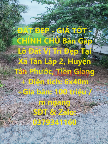 BEAUTIFUL LAND - GOOD PRICE - OWNER Urgently Selling Lot of Land in Nice Location in Tan Lap 2 Commune, Tan Phuoc District, Tien Giang Sales Listings