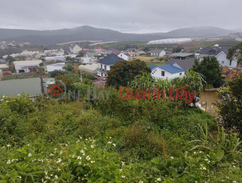 Land lot for sale in Spring Tho city, Da Lat city. _0