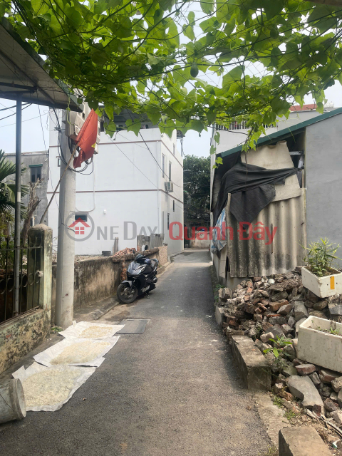 Chính chủ Bán 46 m2 đất Đa Tôn - Gia Lâm, giá chỉ 3.8 tỷ _0