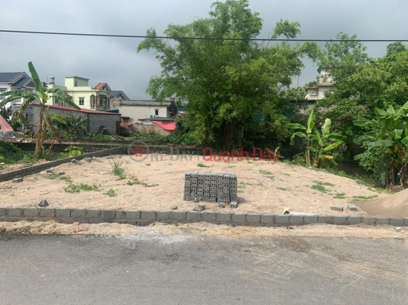 Owner Needs to Quickly Sell a Land Plot in a Beautiful Location - Good Price in Kim Bang District, Ha Nam Province Sales Listings