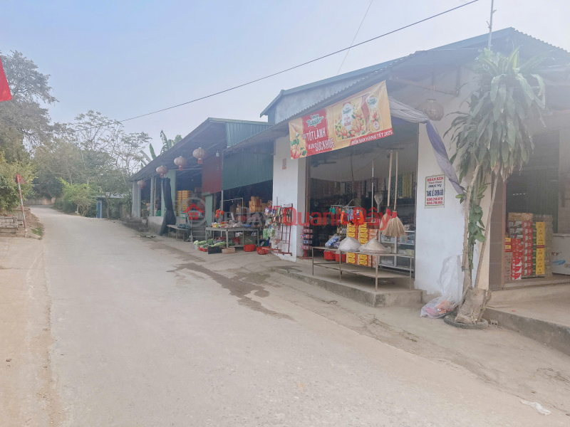 Land for sale on the road for business - Center of Giap Lai commune, Thanh Son, Phu Tho | Vietnam Sales | đ 2.5 Billion