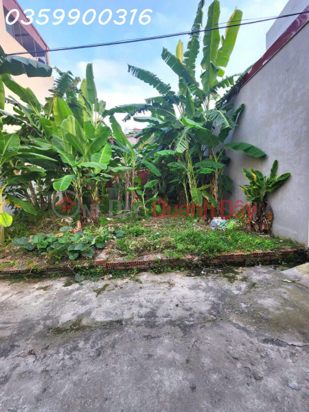 Bán Lô Đất Vị Trí đẹp ÔTÔ Đậu Cửa Việt Hùng, Đông Anh, Hà Nội Niêm yết bán