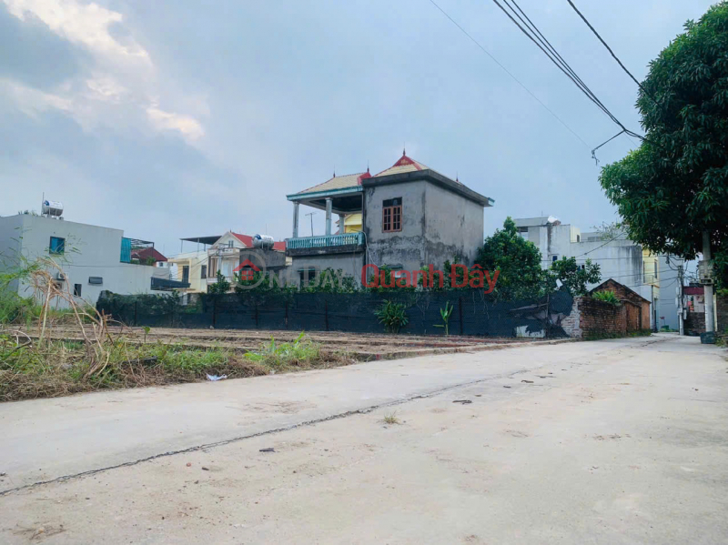 Land for sale in group 9, Quang Minh town, Me Linh. Near industrial park and Tue Tinh Medical and Pharmaceutical College. Vietnam, Sales đ 3.18 Billion