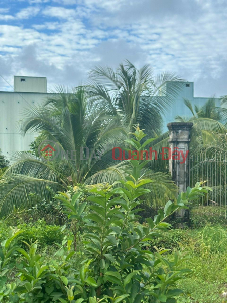 Property Search Vietnam | OneDay | Residential, Sales Listings BEAUTIFUL LAND - GOOD PRICE - Owner Needs to Quickly Sell Garden Plot in Binh Giang Commune, Hon Dat, Kien Giang.