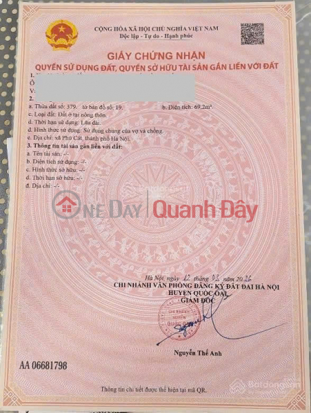 Need money to pay the bank - Urgent sale of a beautiful plot of land on Road 21A, Hoa Thach, Quoc Oai - A rare investment opportunity. | Vietnam Sales | đ 2.81 Billion