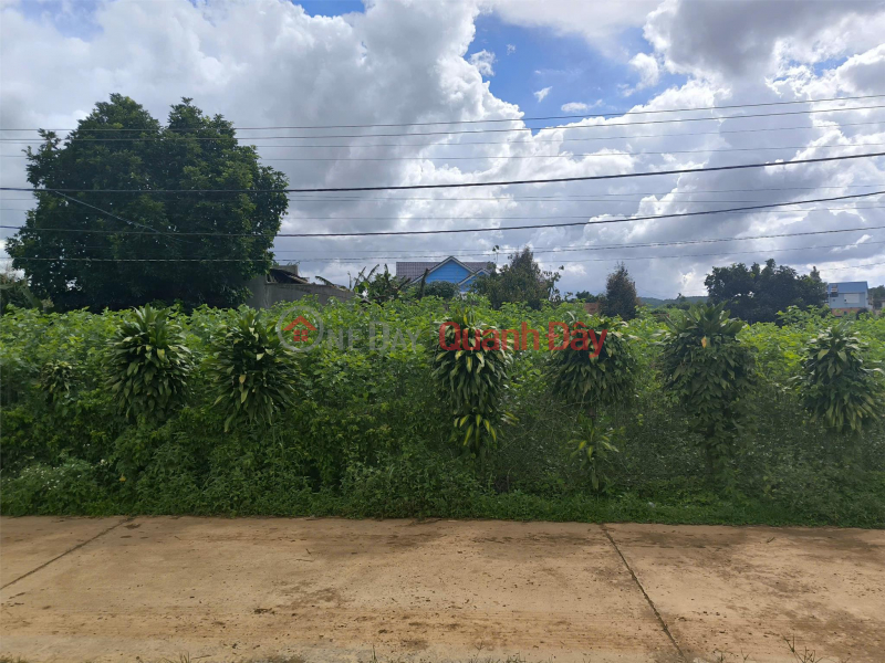 đ 1.5 Billion Beautiful Land - Good Price - Owner Needs to Sell a Plot of Land in a Beautiful Location in Nam Ban Town, Lam Ha District, Lam Dong