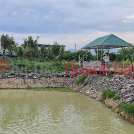 Bán farm Diên Thọ - Khánh Hoà 1.7ha giá 480k/m2. Cây ăn trái đang khai thác _0