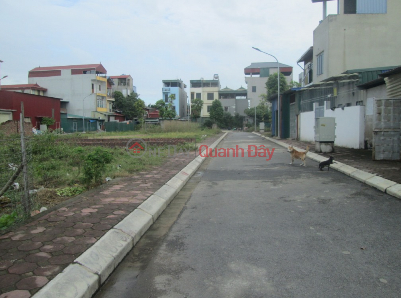 Property Search Vietnam | OneDay | , Niêm yết bán | Tôi bán đất đấu giá Đại Áng cạnh Chợ Đám, MT 5m, 50m2 chỉ 2.89 tỷ. LH 0989.62.6116