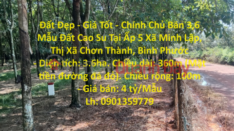 Beautiful Land - Good Price - Owner Sells 3.6 Acres of Rubber Land in Hamlet 5, Minh Lap Commune, Chon Thanh Town, Binh Phuoc _0
