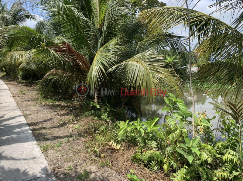 Property Search Vietnam | OneDay | Residential, Sales Listings, BEAUTIFUL LAND - Owner Sells Land Plot Quickly In Cay Duong Town, Phung Hiep, Hau Giang
